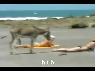 مامور گمرک بت کی chudai افسر آماتور کی کاهانی انجام معاینه.